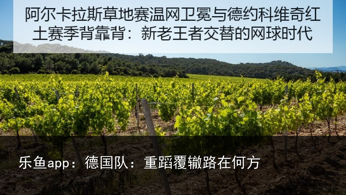 乐鱼app：德国队：重蹈覆辙路在何方