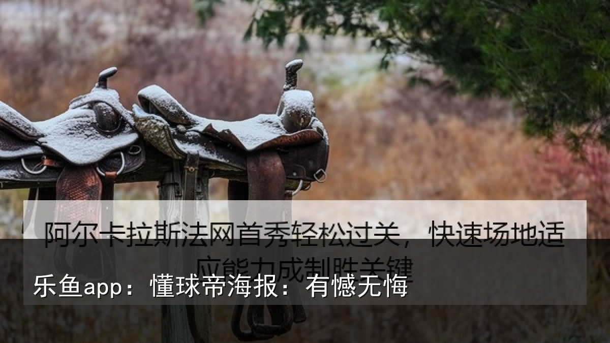 乐鱼app：懂球帝海报：有憾无悔