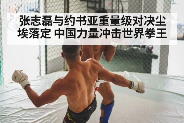 张志磊与约书亚重量级对决尘埃落定 中国力量冲击世界拳王