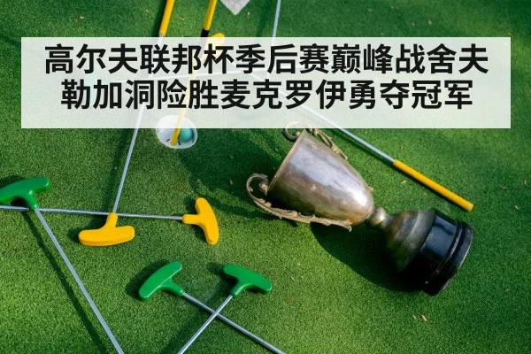 高尔夫联邦杯季后赛巅峰战舍夫勒加洞险胜麦克罗伊勇夺冠军